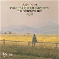CDA67347 - Schubert: Piano Trio D929