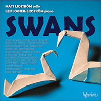 CDA68475 - Swans