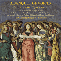 CSCD525 - A banquet of voices