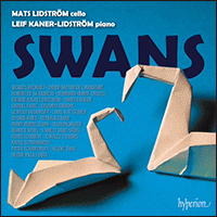 CDA68475 - Swans