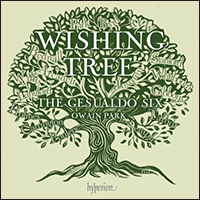 CDA68480 - Wishing Tree